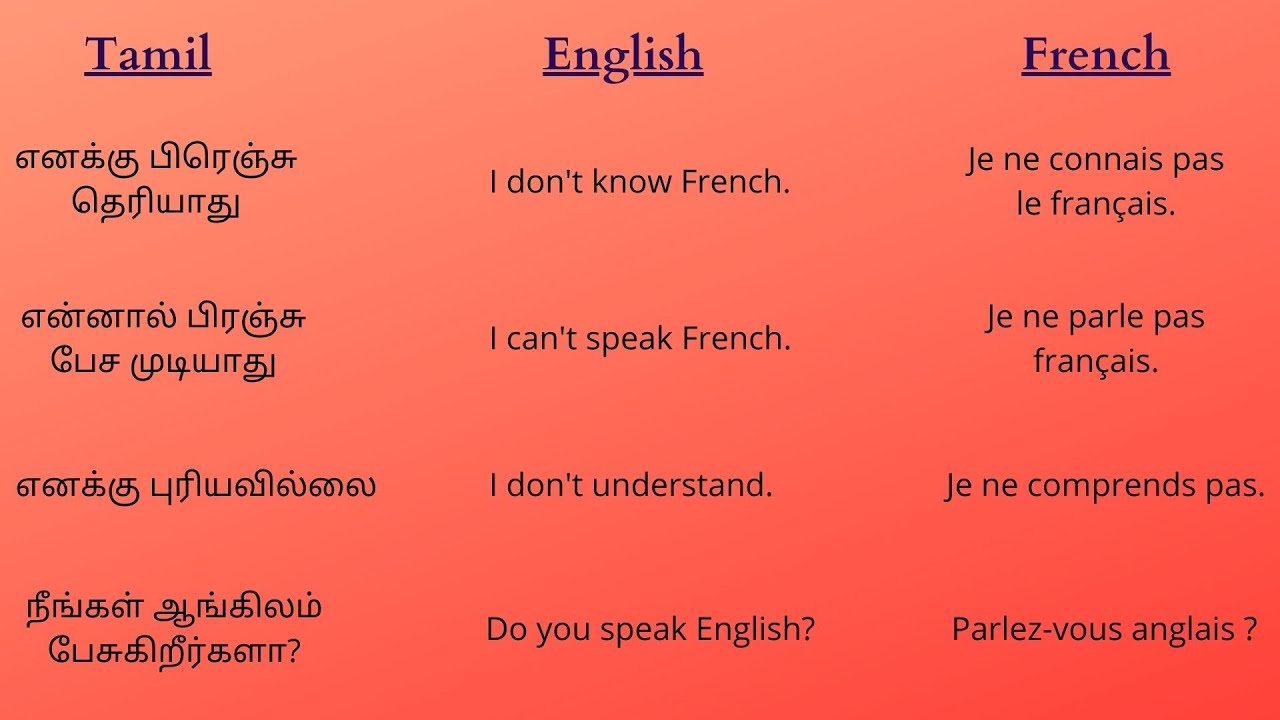 How To Say I Don t Speak French To Someone Explained In Tamil 