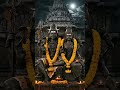 💥maha Shivaratri💥#shorts #sivan #mahashivratri #devotionalhits #trending #mahashivratri2026