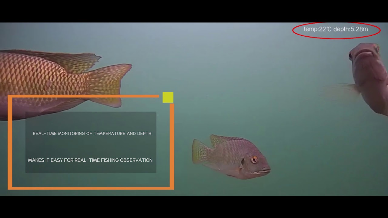 CHASING F1 FISHFINDER DRONE | FOR SHORE, ALSO FOR THE BOAT.