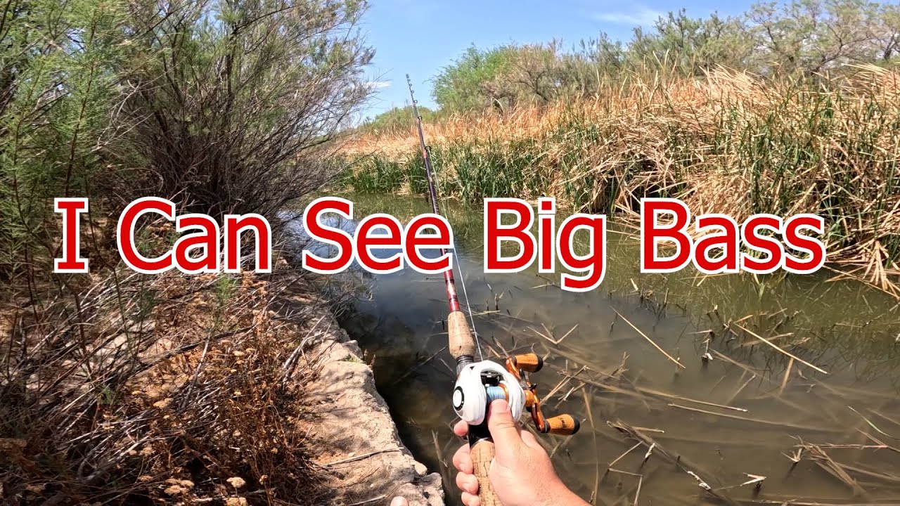 Searching For Shallow Water Spring Time Bass