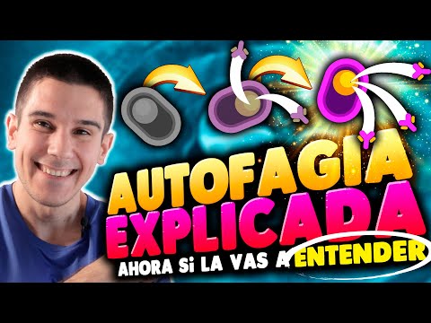 La AUTOFAGIA Explicada