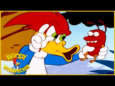 Woody Woodpecker Show | Woody And The Termite | English Full Episode | Cartoons For Children