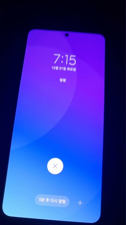 Samsung Galaxy s21 skt homecoming