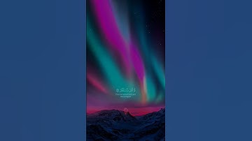 ذرني ومن خلقت وحيدا ، تلاوة رائعة #reels #quran #coran #راحة_نفسية #قران #القرآن_الكريم #shortvideo