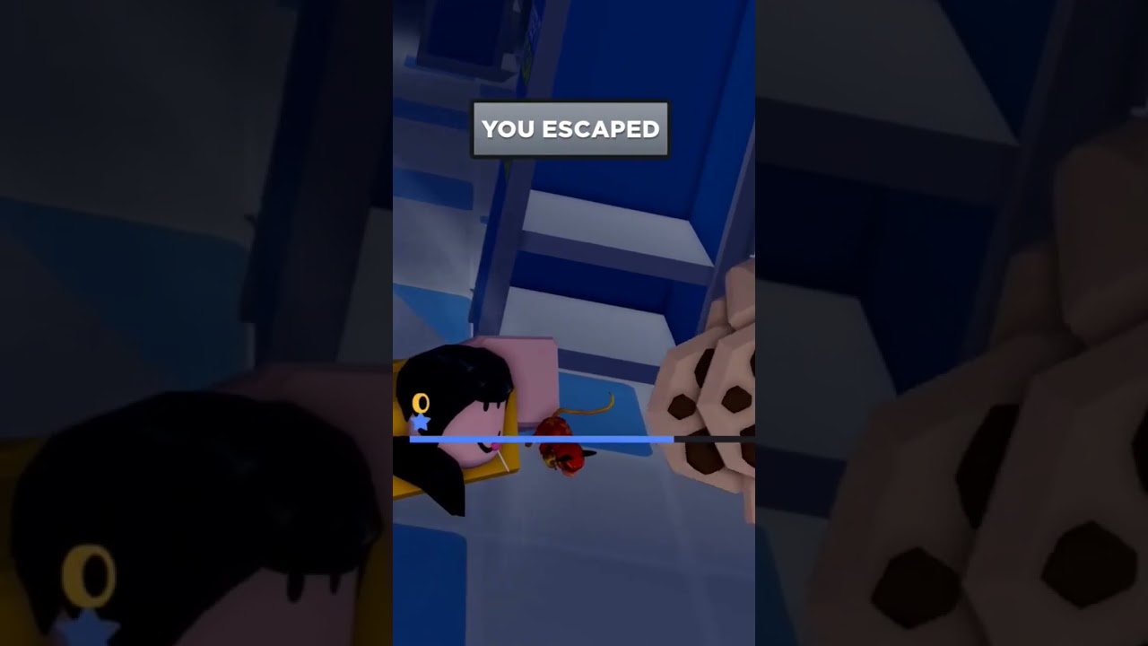 Escape From Roblox Panik