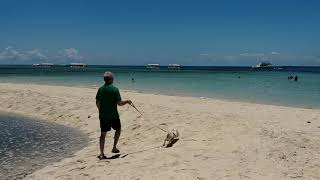 Havanese Sara - Island hopping to Pandanon Island