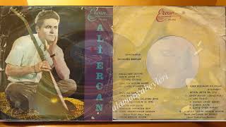 Ali̇ Ercan / Su İçi̇nde Oynaşiyor Baliklar Resimi