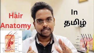 Hair Anatomy in Tamil! #hairtransplant #chennai