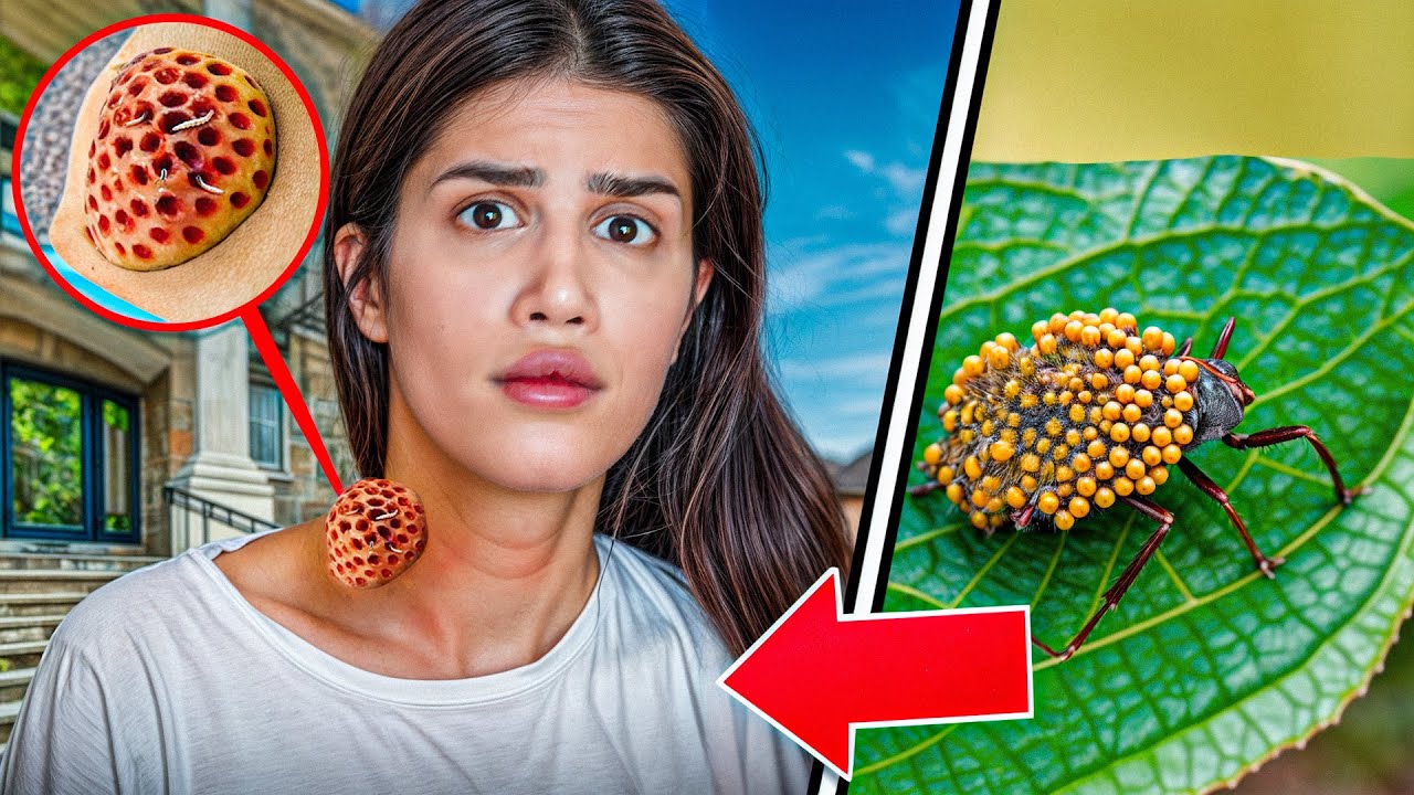 اتفاقی که با نیش یه حشره برای فاتینا افتاد…