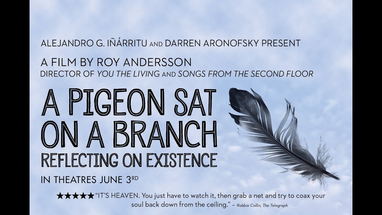A Pigeon Sat On A Branch Reflecting On Existence Trailer Youtube