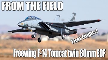 Flight of the Flir Cat -- Freewing F-14 Tomcat Twin 80mm EDF First Flights