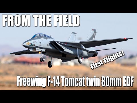 Flight of the Flir Cat -- Freewing F-14 Tomcat Twin 80mm EDF First Flights