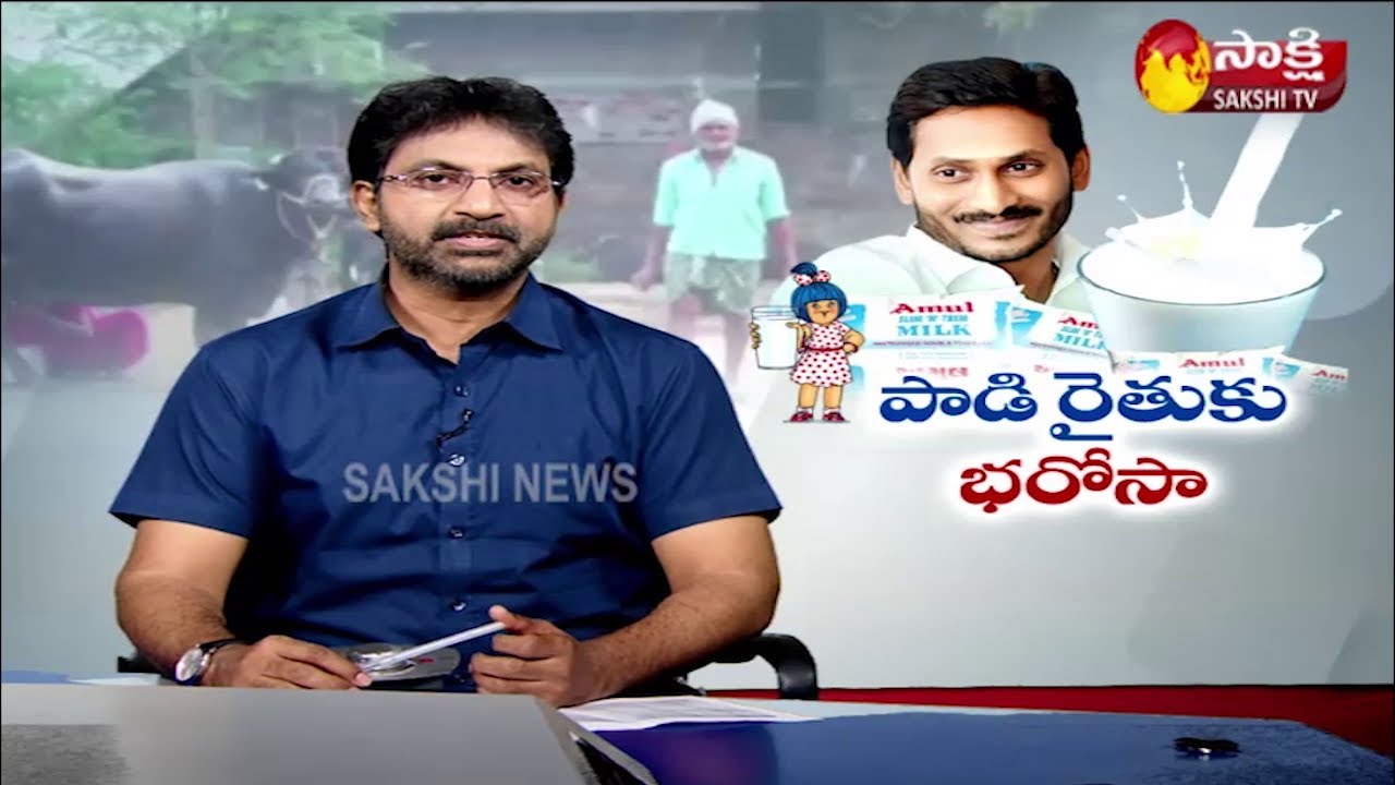 AP Amul project launched in Guntur |