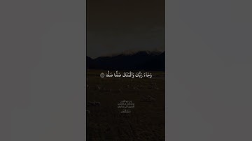 الشيخ محمد صديق المنشاوي سورة الفجر #قرآن_كريم #الشيخ_محمد_صديق_المنشاوي #الشيخ_المنشاوي #سورة_الفجر
