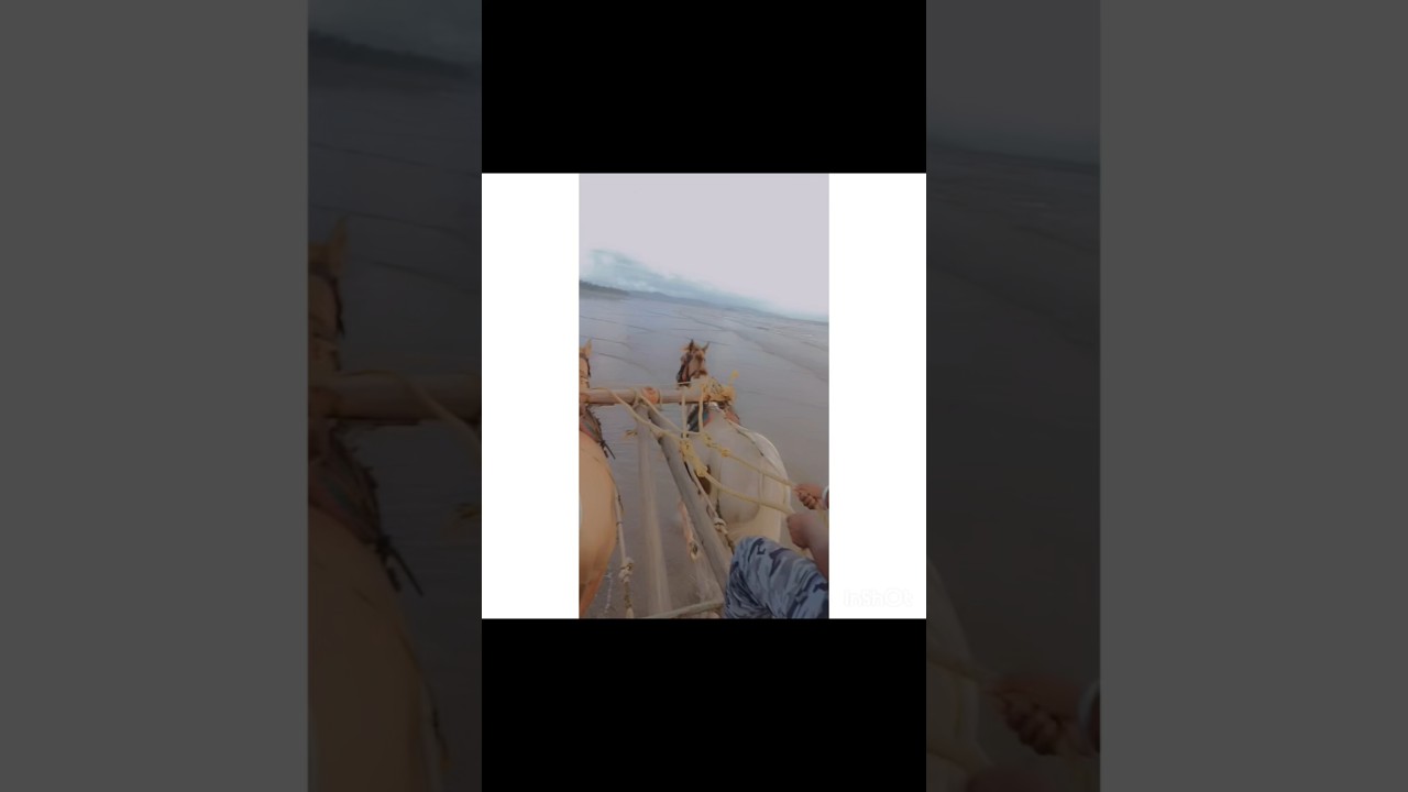 My cutie's 1st birthday 🎂 