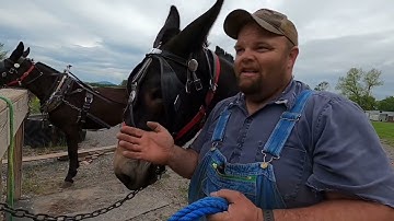 Harnessing and Hooking Series-Part 2 of 4…”Harnessing and Unharnessing” #028