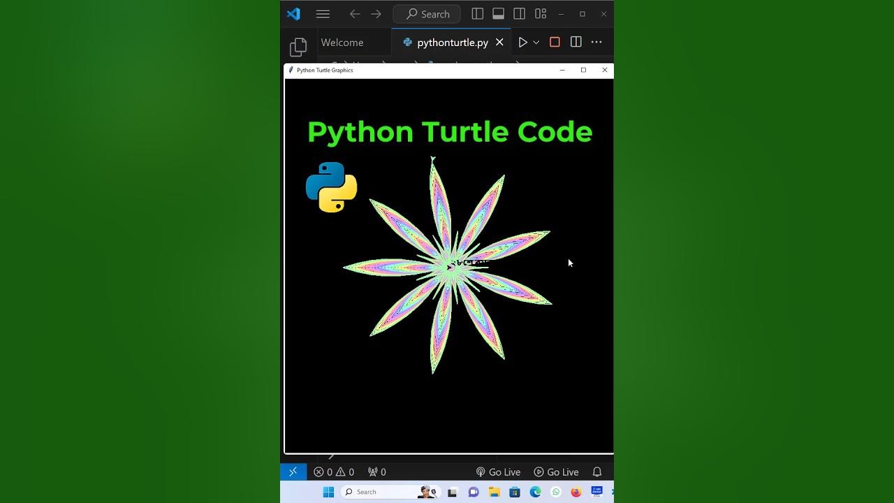Turtle Python