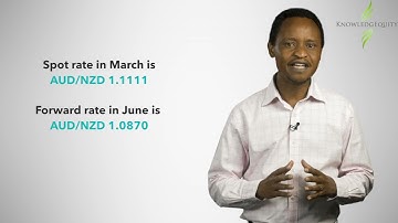 CPA Foreign Exchange Swaps