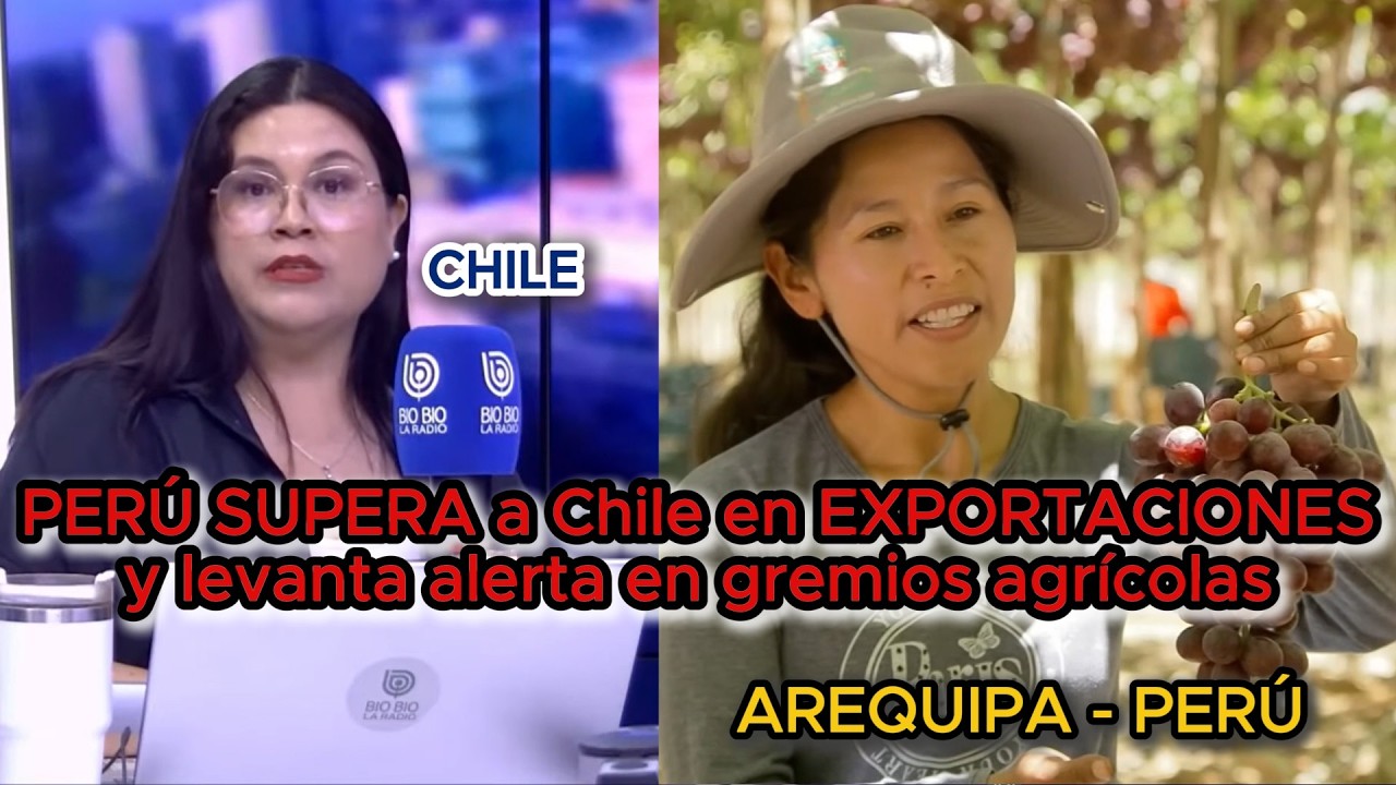 Perú supera a Chile en valores de exportaciones y levanta alerta en gremios agrícolas 