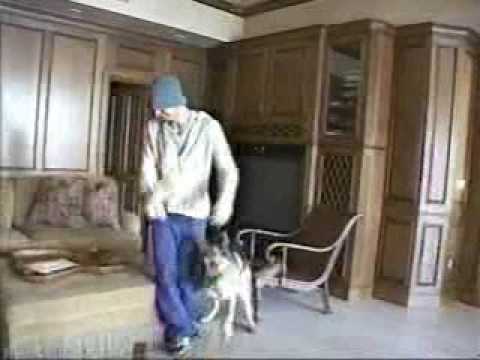 Video: Enrique Iglesias Did Works In His House