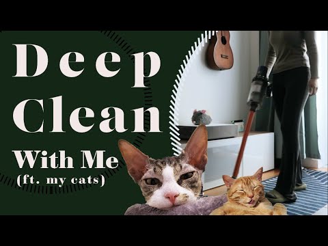 Deep Clean with