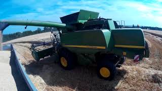 moisson d'escourgeon 2017