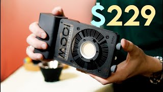 Famous LEDs vs FLASH for photography in 2025 (under $300!) Wealth