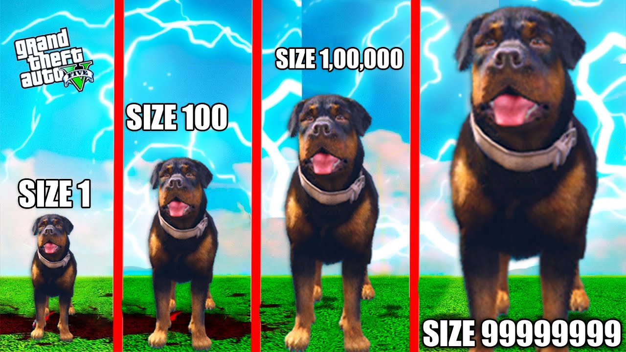 Growing Smallest Chop Into Biggest Chop In GTA 5 YouTube