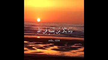 تلاوة لــ عبد الرحمن مسعد من سورة النحل