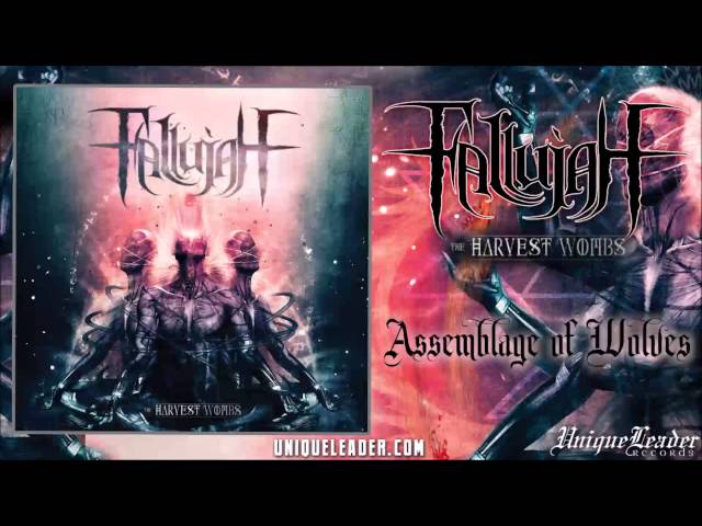 Fallujah - Assemblage of Wolves