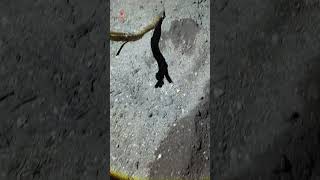 Escuchamos el lamento de la llorona #albertodelarco #paranormal #fantasma #exploracionurbana #terror