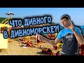 Отдых в Дивноморском. Море, пляж, цены. (Папа Может)