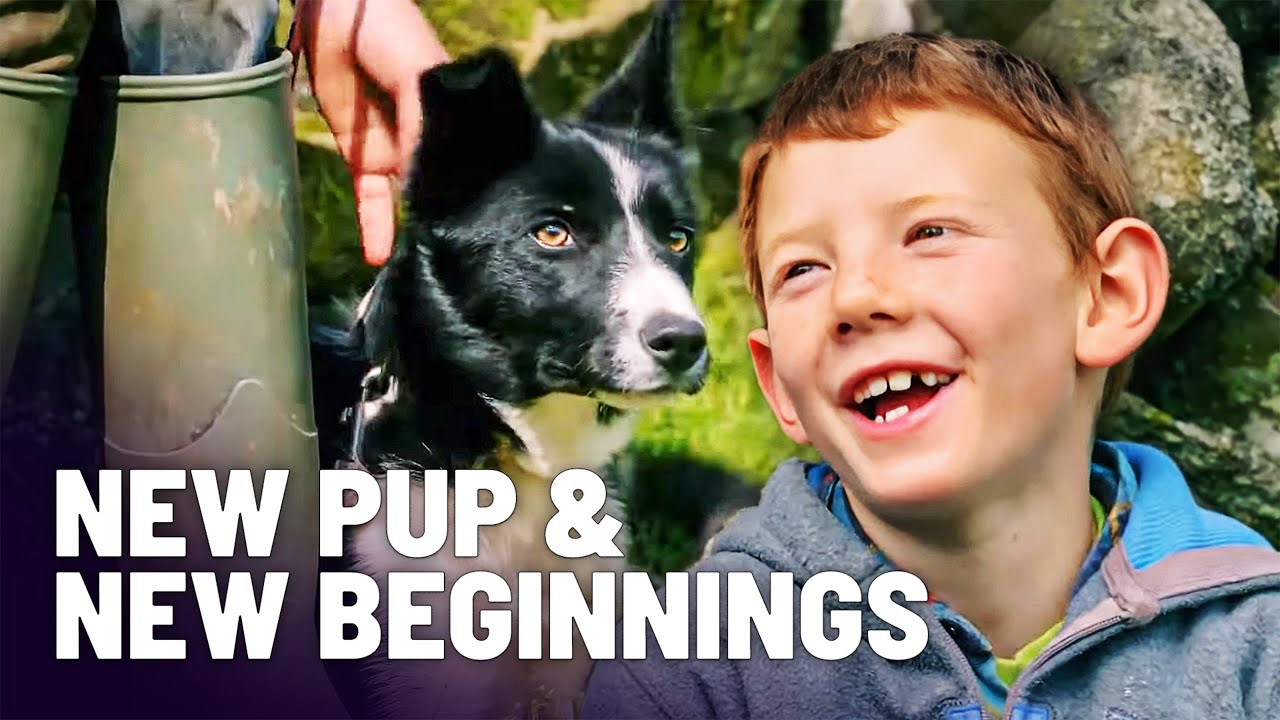 Documentary backdrop image for The Newest Member Of The Family: Puppy Nell's First Days! (2025)