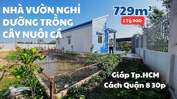 Nhà Vườn Cần Giuộc QL50 729m Nhà Cấp 4 Cây Ăn Trái Sum Suê | Bán Nhà Bình Chánh | Nhà Đất Trang Anh