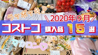 【コストコ】購入品紹介/おすすめ定番商品と新商品/料理・冷凍保存・小分け/2020年9月/15選②