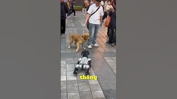 mất mặt quá nhỏ