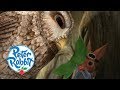 Peter Rabbit - Saving Squirrel Nutkin | Cartoons for Kids