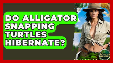 Do Alligator Snapping Turtles Hibernate? - Reptilian Wonders
