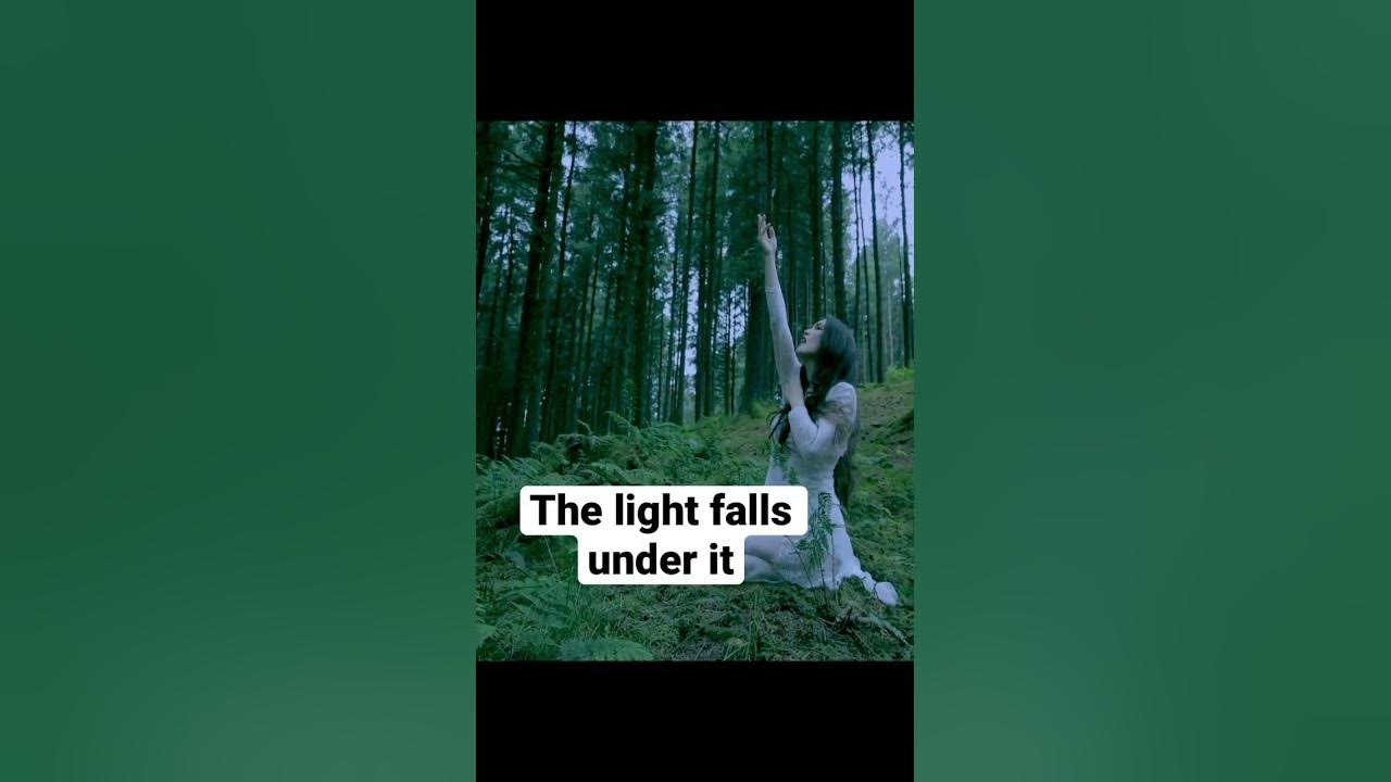 Monolith is out this Friday 🌲