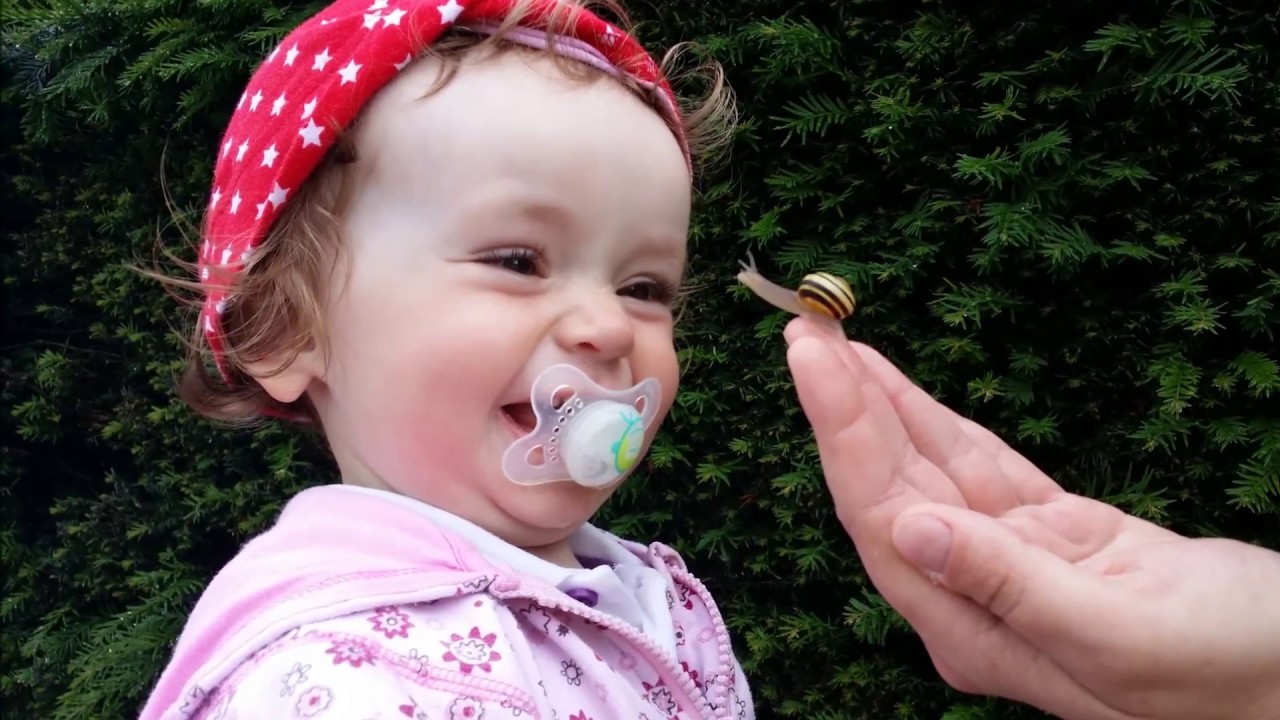 Plastic3 christmas greetings music logo 10s mp3