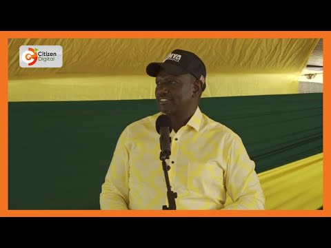 The President has told us that the people he assigned my responsibilities have failed him – DP Ruto