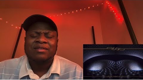 IM MIND-BLOWN ! TOOL - Descending REACTION