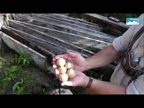 Kugelmühle in Marktschellenberg. Tradition und Brauchtum in Berchtesgaden, Bayern