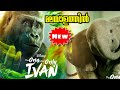 The one and only ivan 2020 explained in malayalam l be variety always