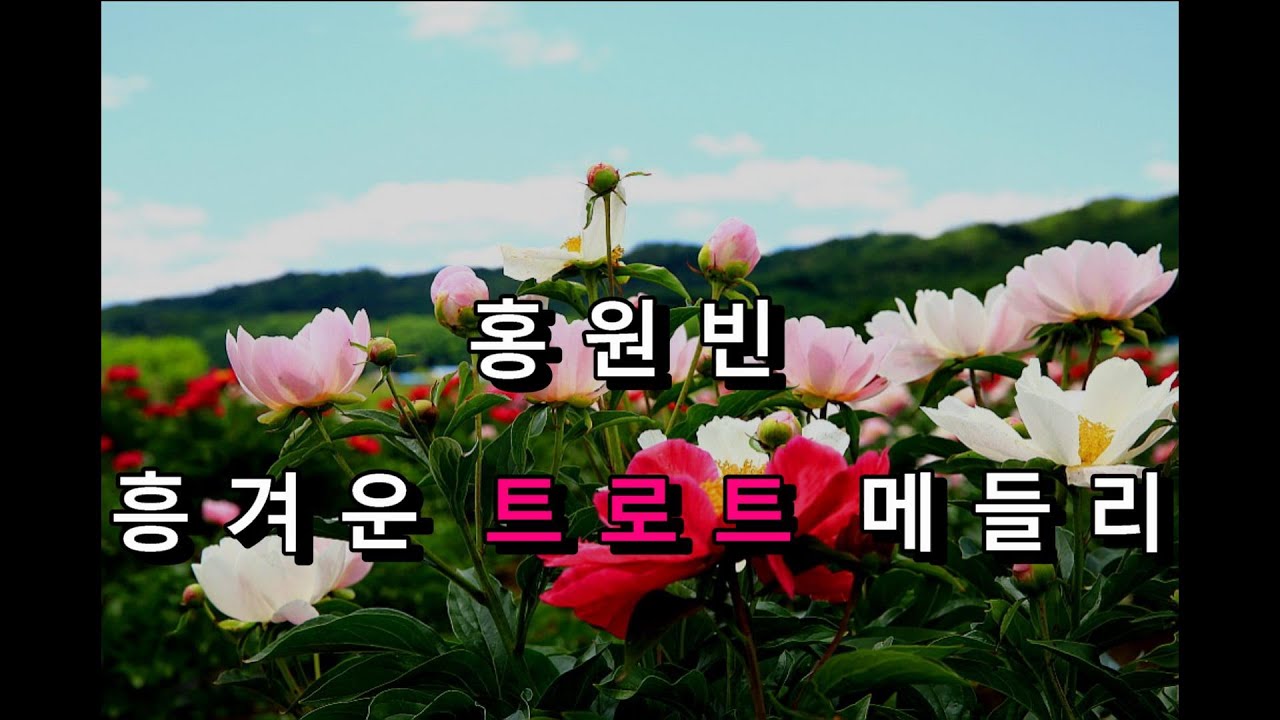 ♬ 매혹에저음가수 ♬ 홍원빈 트로트 메들리 ♬ Full HD