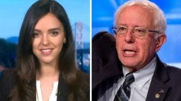 Sanders supporter/candidate