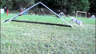 Javas first running a-frame May 2, 2012