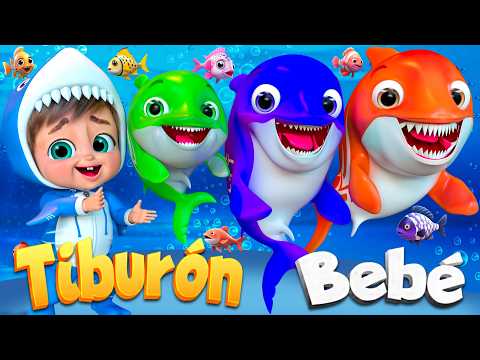 Bebé Tiburón y el Mundo Marino - Canciones infantiles | Little Panda Doctor Española #bebetiburon