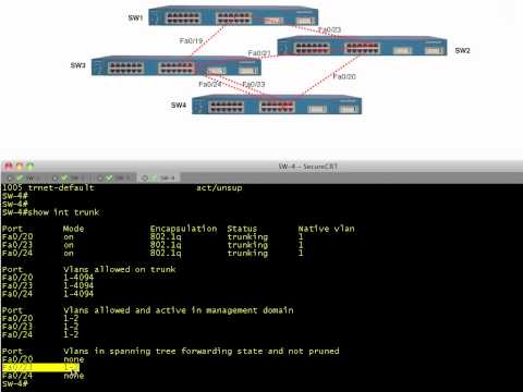 ვიდეო: VTP pruning ჩართულია ნაგულისხმევად?