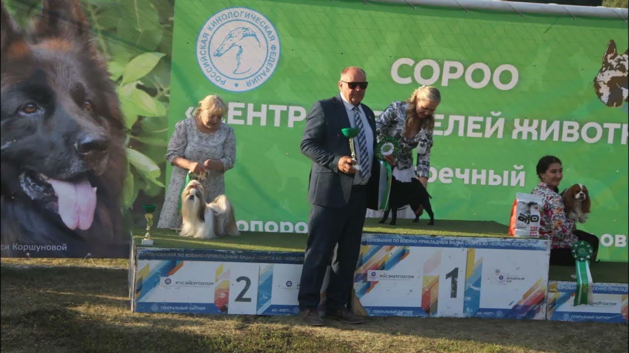 жемчужина заречный